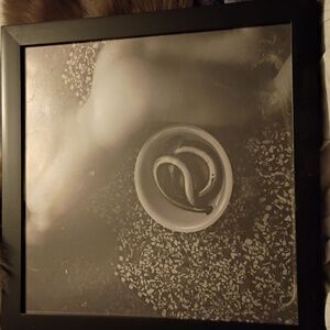 Francesca Woodman Eel Print Framed. 9" By 9".